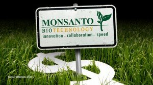 Monsanto-Money-Crops