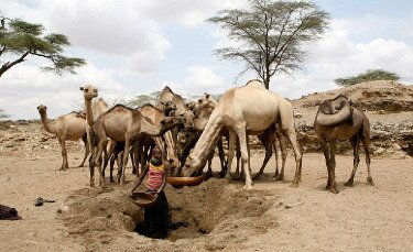 drought-africa